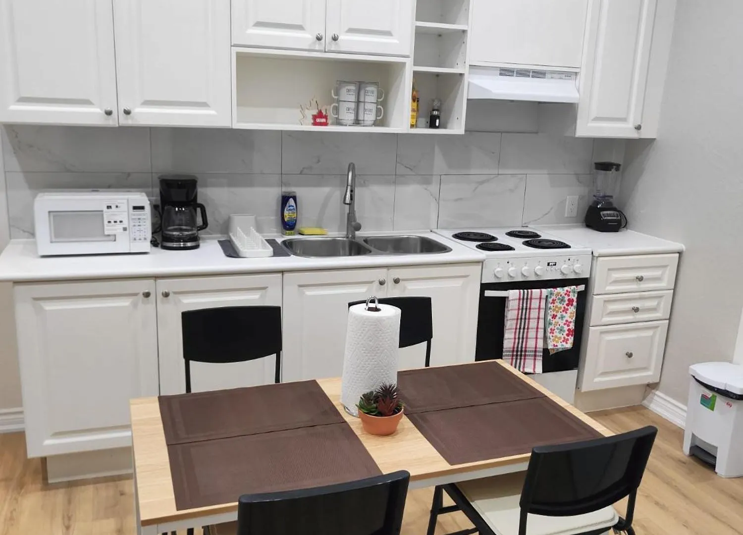 Central Toronto Economical Stay-Stress Free Checkin Canada